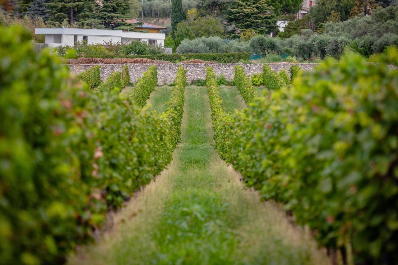 Agriturismo Borgata Levita Bardolino Kültér fotó